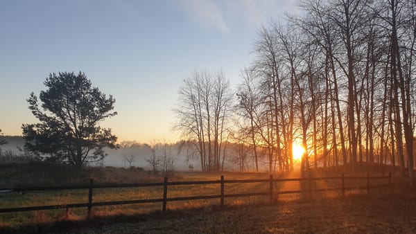 Småskaliga experiment