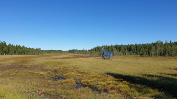 AI i människans tjänst